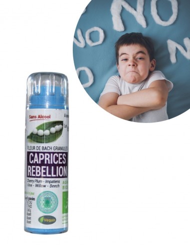 Fleurs de Bach ENFANTS/ADOS AGITATION REBELLION - 0% ALCOOL- GRANULES