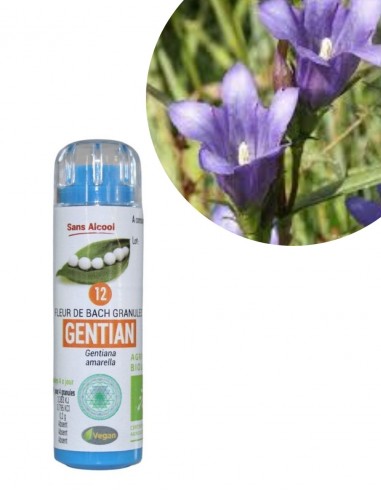 Fleur de Bach N°12 GENTIAN (Gentiane)...