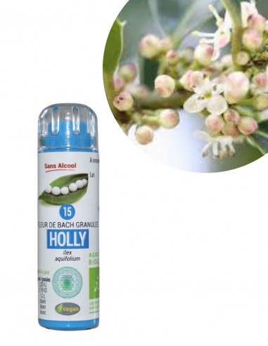 Fleur de Bach N°15 HOLLY (Houx) 0%...