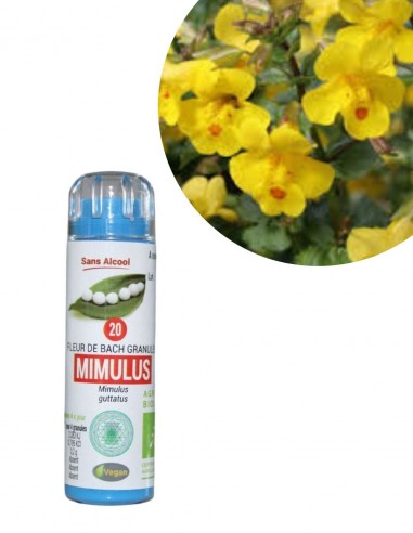 Fleur de Bach N°20 MIMULUS (Mimule)...