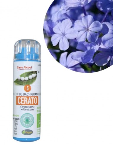 Fleur de Bach N°5 CERATO (Plumbago)...