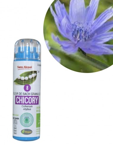 Fleur de Bach N°8 CHICORY (Chicorée)...